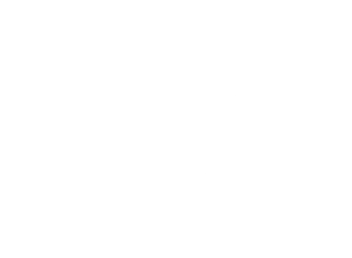 Lily Beez LLC